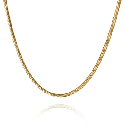 Bermuda Watch Company Women's Annie Apple Tessa Snake Chain Gold Necklace