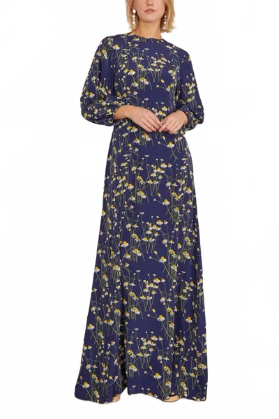 Bernadette Roxette Floral-print Silk Crepe Maxi Dress In Pencil Daisies In Blue