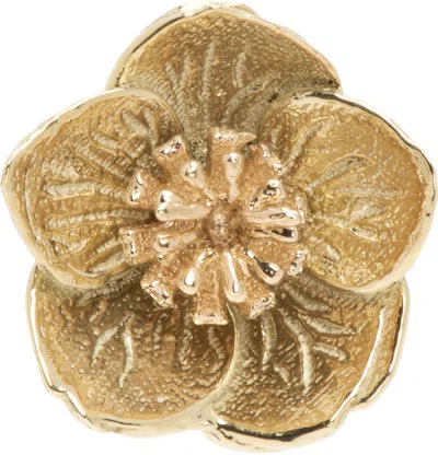 Bernard James Gold Flora Hellebore Earrings In 14k Gold