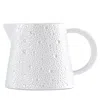 Bernardaud Ecume Perle Creamer