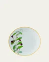 Bernardaud Jardin Indien Bread & Butter Plate In Assorted