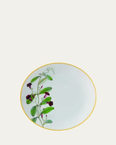 Bernardaud Jardin Indien Bread & Butter Plate In Assorted