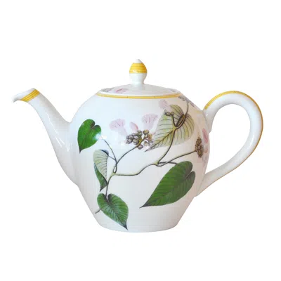 Bernardaud Jardin Indien Teapot In Floral