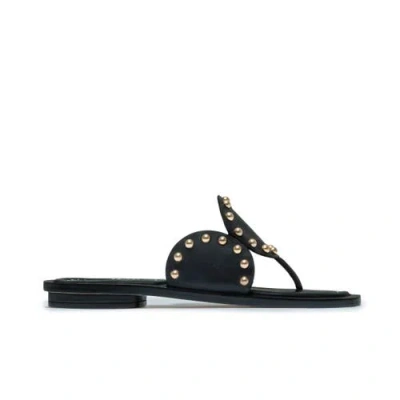 Bernardo 1946 Footwear Agartha Thong Sandal In Black