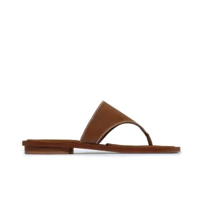 Bernardo 1946 Footwear Agora Thong Sandal In Brown