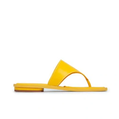 Bernardo 1946 Footwear Agora Thong Sandal In Yellow