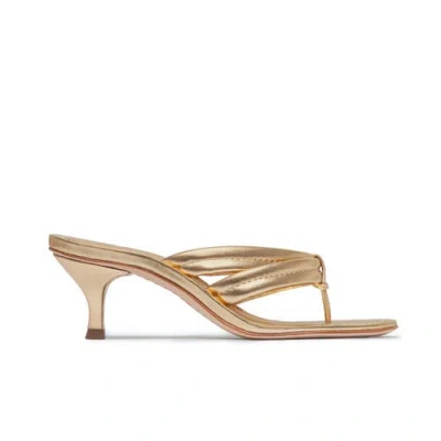 Bernardo 1946 Footwear Miami 55 Kitten Heel In Brown