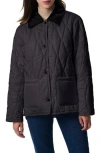 Bernardo Corduroy Collared Quilted Jacket In Black