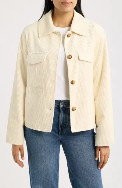 Bernardo Corduroy Structure Coat In Cream