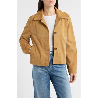 Bernardo Crop Suede Jacket In Brown