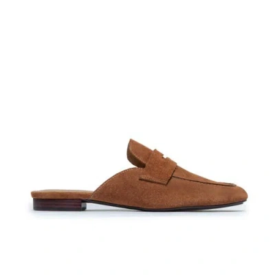 Bernardo Footwear Balda Loafer Mule In Brown
