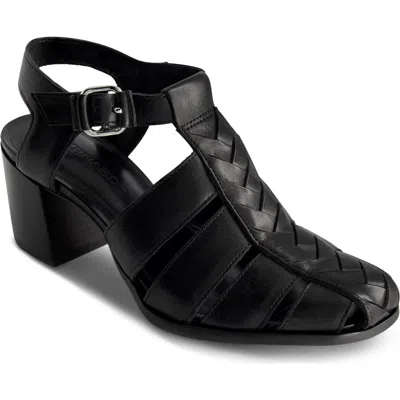 Bernardo Footwear Belmont Sandal In Black
