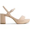 Bernardo Footwear Canto Platform Sandal In Cipria