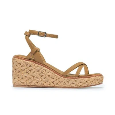 Bernardo Footwear Cario Wedge Sandal In Brown