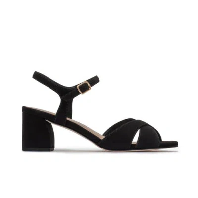 Bernardo Footwear Ginni Mid Heel Sandal In Multi