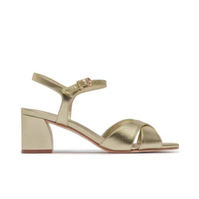 Bernardo Footwear Ginni Mid Heel Sandal In Multi