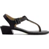 Bernardo Footwear Goya T-strap Sandal In Black
