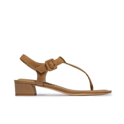 Bernardo Footwear Goyara Demi Heel Sandal In Brown