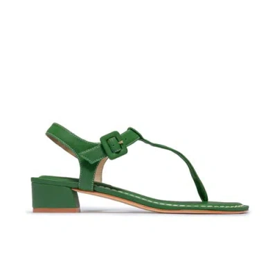 Bernardo Footwear Goyara Demi Heel Sandal In Green