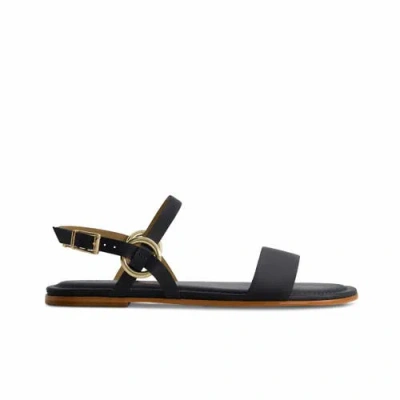 Bernardo Footwear Henre Ankle Strap Sandal In Navy
