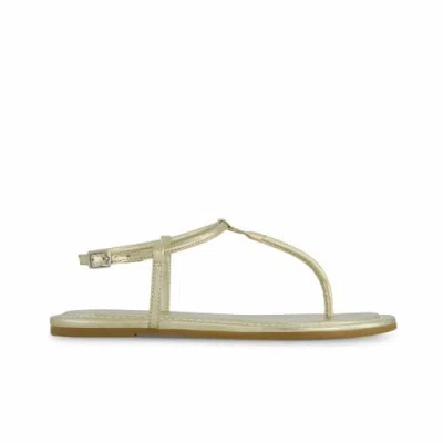 Bernardo Footwear Hercu T-strap Sandal In Champagne