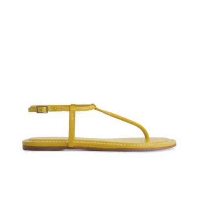 Bernardo Footwear Hercu T-strap Sandal In Daisy