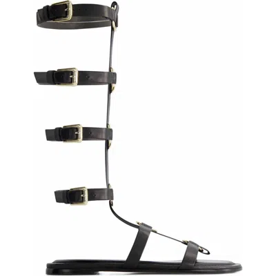 Bernardo Footwear Hero Gladiator Sandal In Black