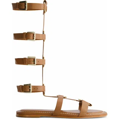Bernardo Footwear Hero Gladiator Sandal In Luggage