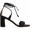 Bernardo Footwear Ieda Ankle Tie Heeled Sandal In Black