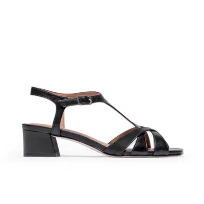 Bernardo Footwear Jean Low Heel Sandal In Animal Print
