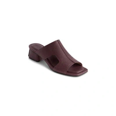 Bernardo Footwear Jewel Low Heel Sandal In Aubergine