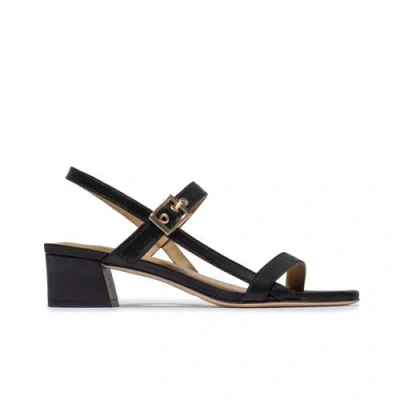 Bernardo Footwear Jinji Low Heel Sandal In Black