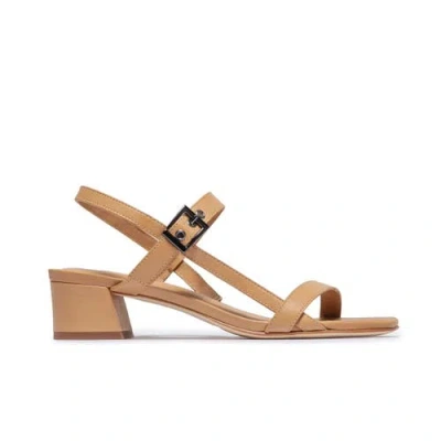 Bernardo Footwear Jinji Low Heel Sandal In Brown
