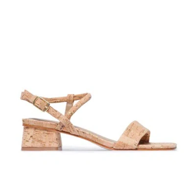 Bernardo Footwear Josei Low Heel Sandal In Brown