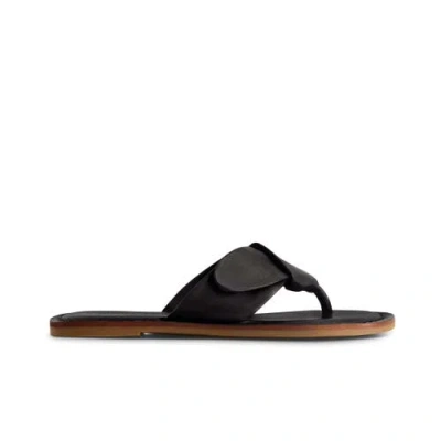 Bernardo Footwear Laia Thong Sandal In Black