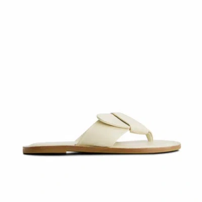 Bernardo Footwear Laia Thong Sandal In White