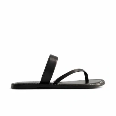 Bernardo Footwear Leia Thong Sandal In Black