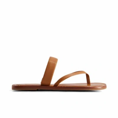 Bernardo Footwear Leia Thong Sandal In Luggage