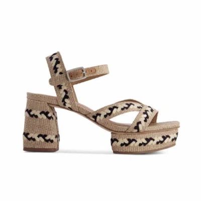 Bernardo Footwear Liana Embroidered Platform Sandal In Brown