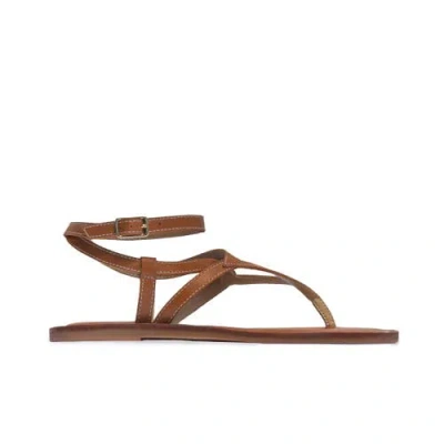 Bernardo Footwear Mallorie Thong Sandal In Multi