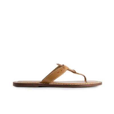 Bernardo Footwear Matrix 2 Thong Sandal In Brown