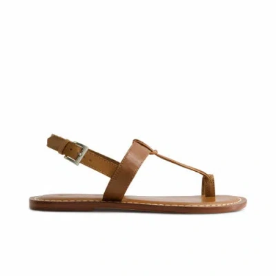 Bernardo Footwear Maverick 2 Toe Loop Sandal In Luggage