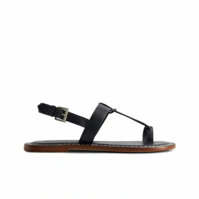 Bernardo Footwear Maverick 2 Toe Loop Sandal In Navy