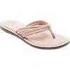 Bernardo Footwear Miami Thong Sandal In Pink