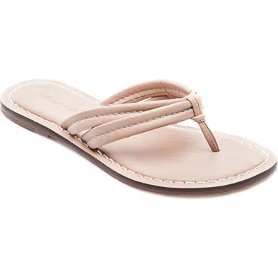 Bernardo Footwear Miami Thong Sandal In Pink