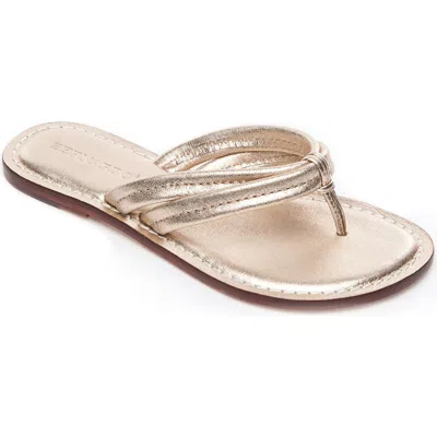 Bernardo Footwear Miami Thong Sandal In Gold