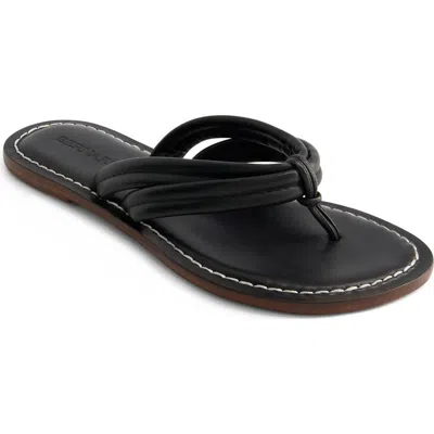 Bernardo Footwear Miami Thong Sandal In Black