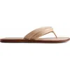 Bernardo Footwear Miami Thong Sandal In Blush