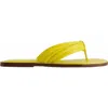 Bernardo Footwear Miami Thong Sandal In Daisy