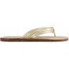 Bernardo Footwear Miami Thong Sandal In Metallic